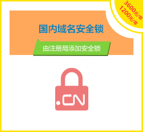 国内域名安全锁
